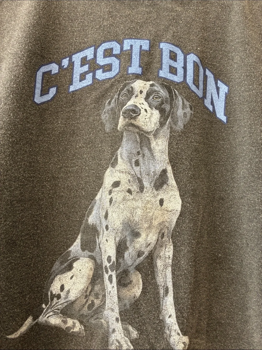 Anthropologie Gray Dalmatian Graphic Dog Tee